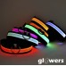 Glowing Pet Collar